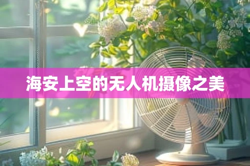 海安上空的无人机摄像之美