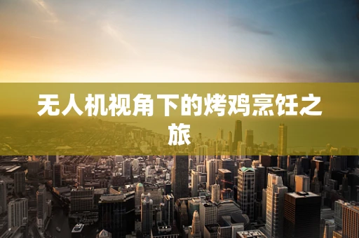 无人机视角下的烤鸡烹饪之旅