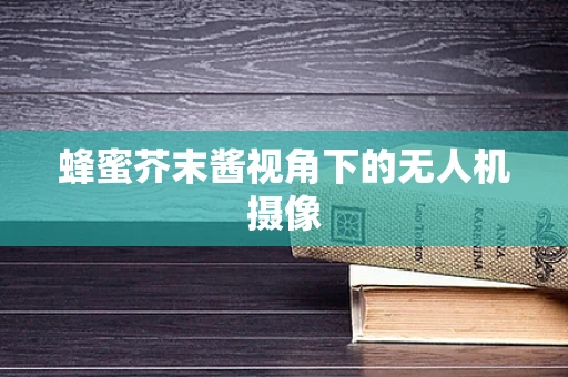蜂蜜芥末酱视角下的无人机摄像