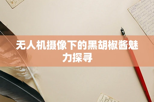 无人机摄像下的黑胡椒酱魅力探寻