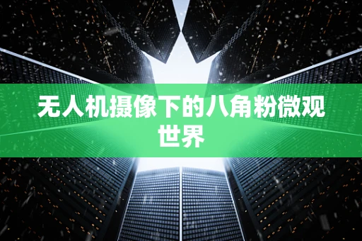 无人机摄像下的八角粉微观世界