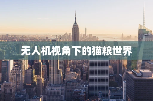 无人机视角下的猫粮世界