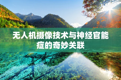 无人机摄像技术与神经官能症的奇妙关联