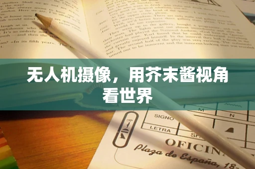 无人机摄像，用芥末酱视角看世界