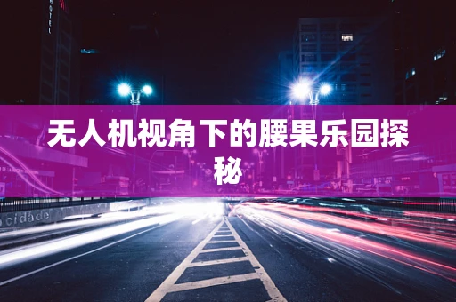 无人机视角下的腰果乐园探秘