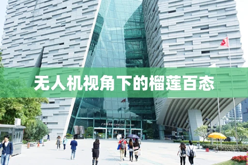 无人机视角下的榴莲百态
