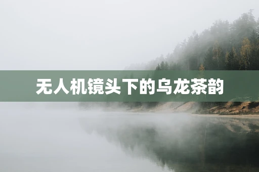 无人机镜头下的乌龙茶韵