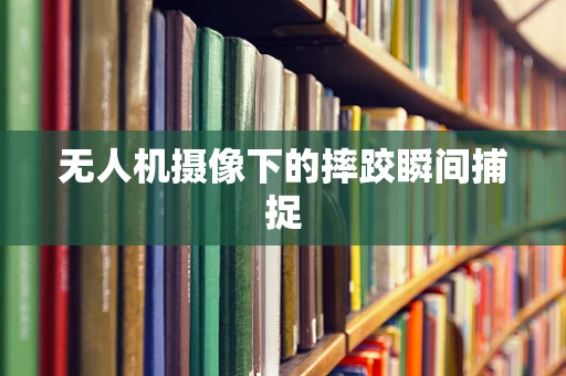 无人机摄像下的摔跤瞬间捕捉