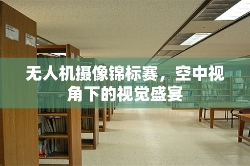 无人机摄像锦标赛，空中视角下的视觉盛宴