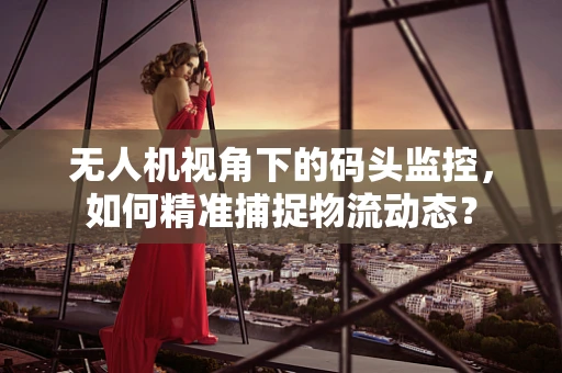 无人机视角下的码头监控，如何精准捕捉物流动态？