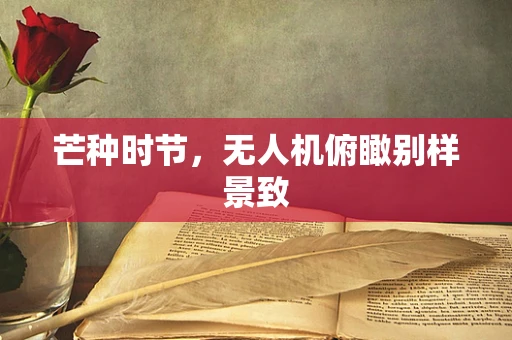 芒种时节，无人机俯瞰别样景致