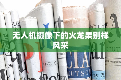 无人机摄像下的火龙果别样风采