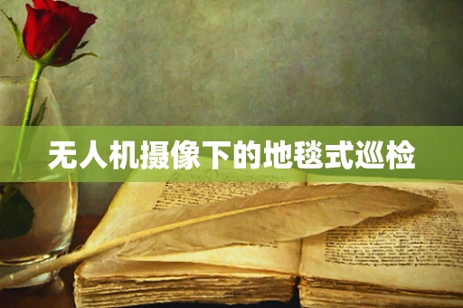 无人机摄像下的地毯式巡检