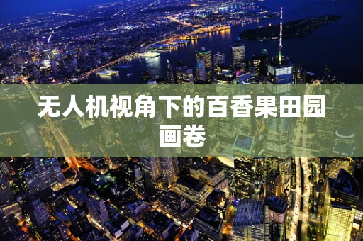 无人机视角下的百香果田园画卷