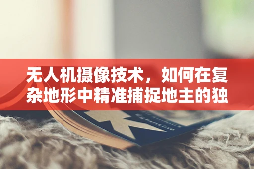 无人机摄像技术，如何在复杂地形中精准捕捉地主的独特视角？