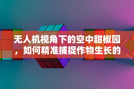 无人机视角下的空中甜椒园，如何精准捕捉作物生长的微妙变化？