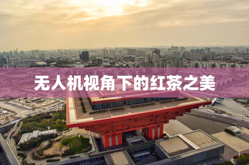 无人机视角下的红茶之美