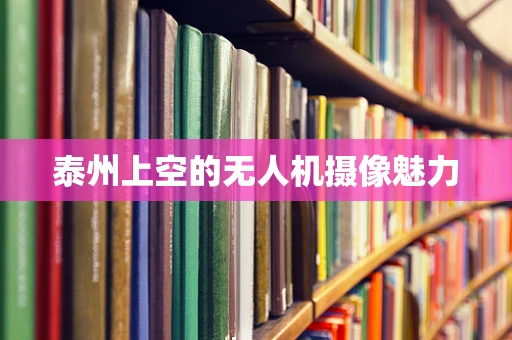 泰州上空的无人机摄像魅力