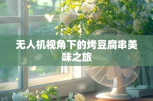 无人机视角下的烤豆腐串美味之旅