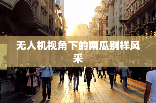 无人机视角下的南瓜别样风采
