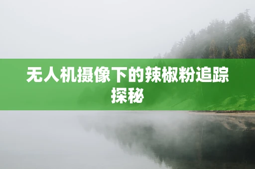 无人机摄像下的辣椒粉追踪探秘