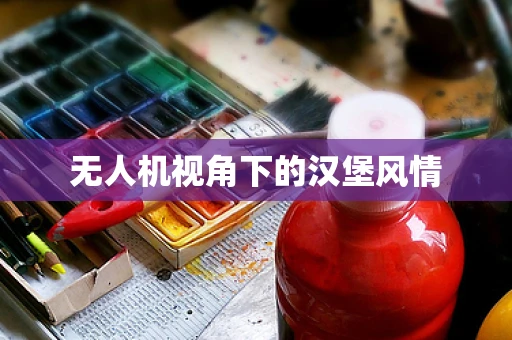 无人机视角下的汉堡风情