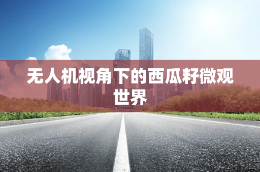 无人机视角下的西瓜籽微观世界
