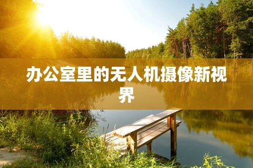 办公室里的无人机摄像新视界
