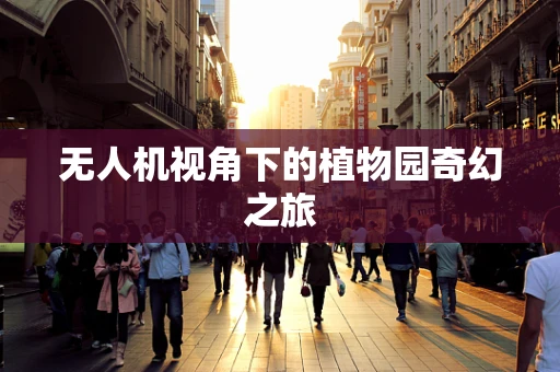无人机视角下的植物园奇幻之旅