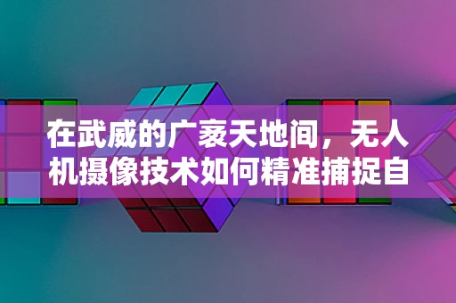 在武威的广袤天地间，无人机摄像技术如何精准捕捉自然之美？
