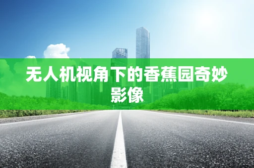 无人机视角下的香蕉园奇妙影像