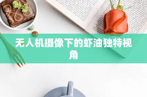 无人机摄像下的虾油独特视角