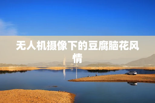 无人机摄像下的豆腐脑花风情