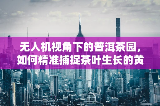 无人机视角下的普洱茶园，如何精准捕捉茶叶生长的黄金时刻？