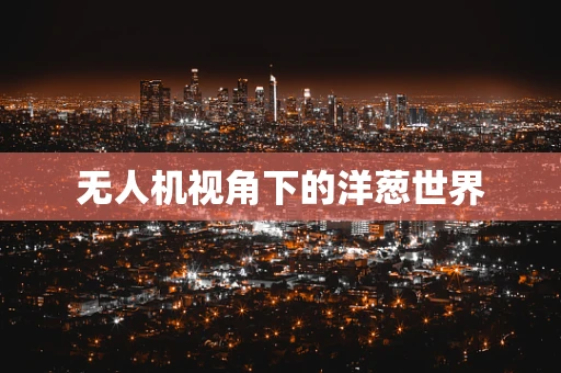 无人机视角下的洋葱世界