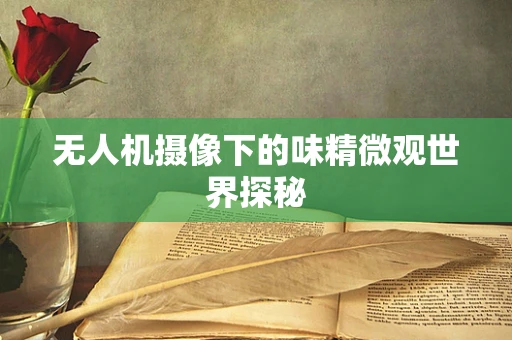 无人机摄像下的味精微观世界探秘