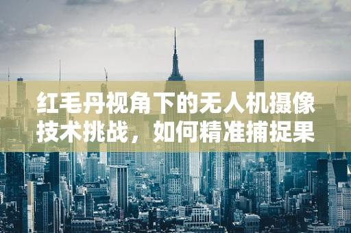 红毛丹视角下的无人机摄像技术挑战，如何精准捕捉果实的独特魅力？