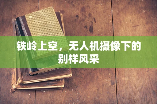 铁岭上空，无人机摄像下的别样风采
