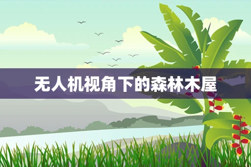 无人机视角下的森林木屋