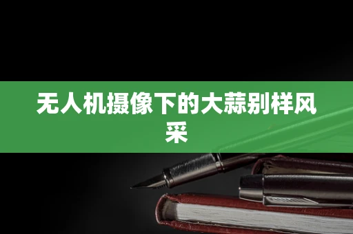 无人机摄像下的大蒜别样风采