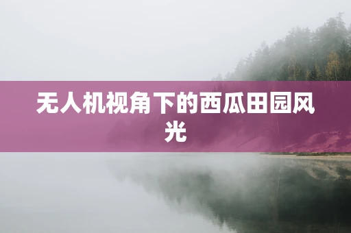 无人机视角下的西瓜田园风光
