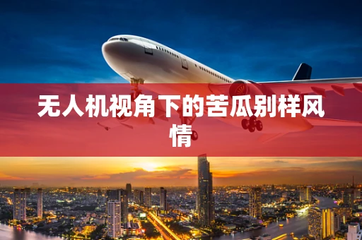 无人机视角下的苦瓜别样风情