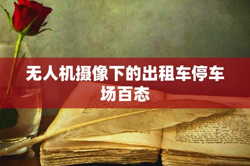 无人机摄像下的出租车停车场百态