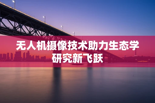无人机摄像技术助力生态学研究新飞跃