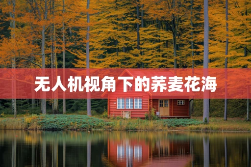 无人机视角下的荞麦花海