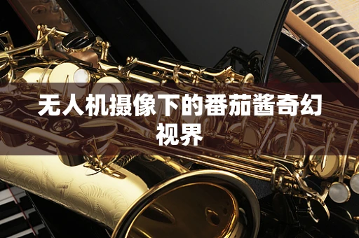 无人机摄像下的番茄酱奇幻视界