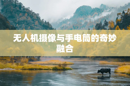无人机摄像与手电筒的奇妙融合