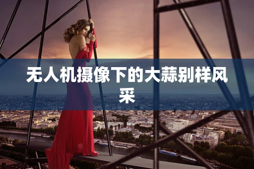 无人机摄像下的大蒜别样风采