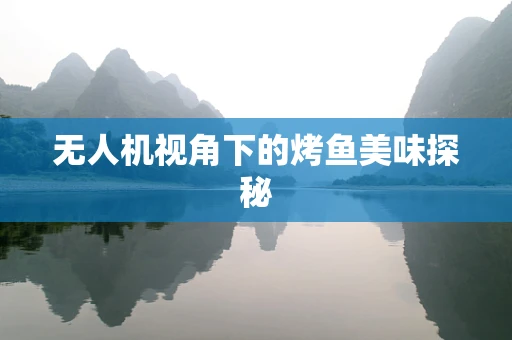 无人机视角下的烤鱼美味探秘