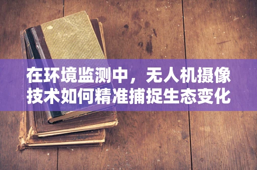 在环境监测中，无人机摄像技术如何精准捕捉生态变化？